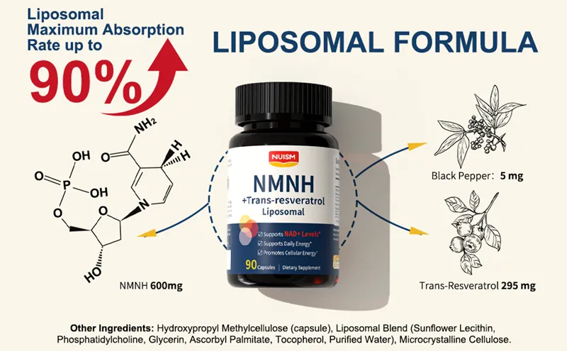 Recover Stronger: Boost Energy and Resilience Daily