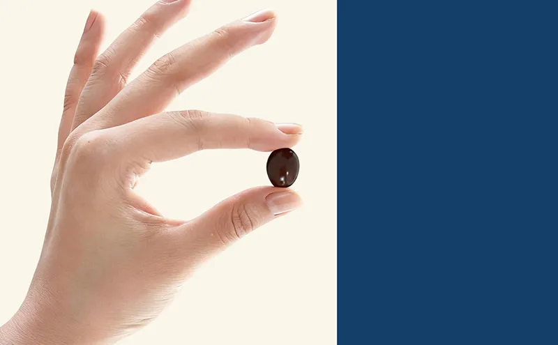 Fuel Your Brain: Stay Sharp, Focused, and Resilient